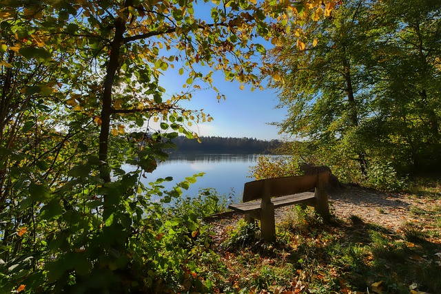 才能真正实 才能真正实